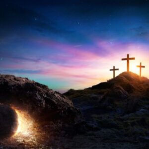 A picture that reminds us of bible verses about the resurrection.