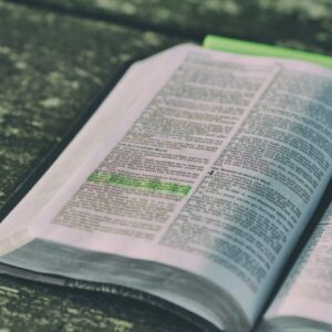 The bible highlights a short bible verse that is easy to remember.