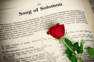 A page in the bible where you find the Song of Solomon verses.