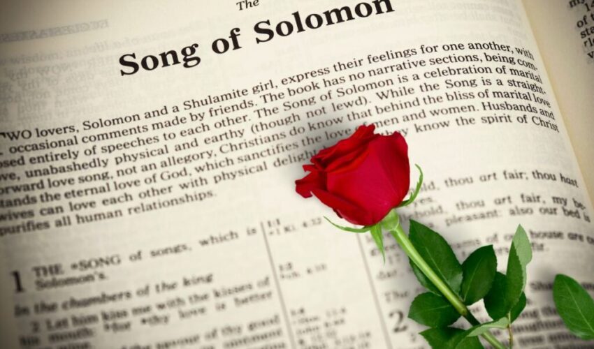 A page in the bible where you find the Song of Solomon verses.