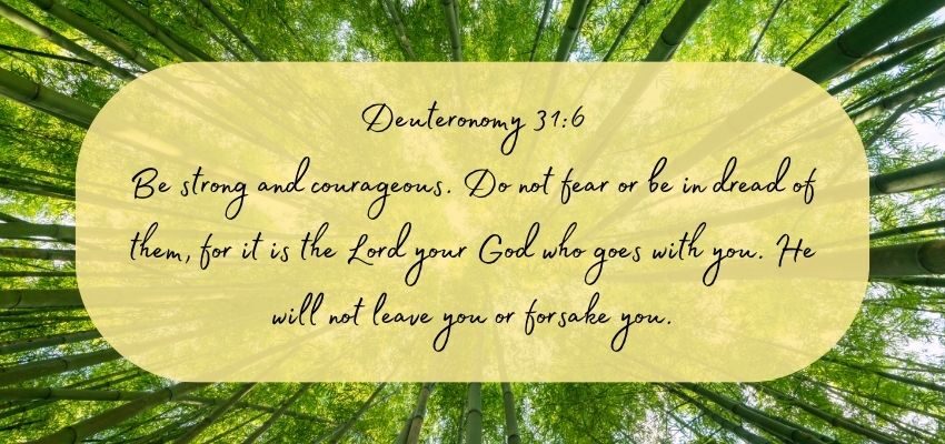A bible verse from Deuteronomy.