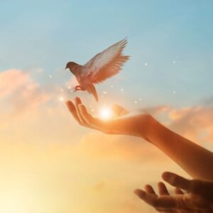 A dove is flying away from a person's hand symbolizing hope.