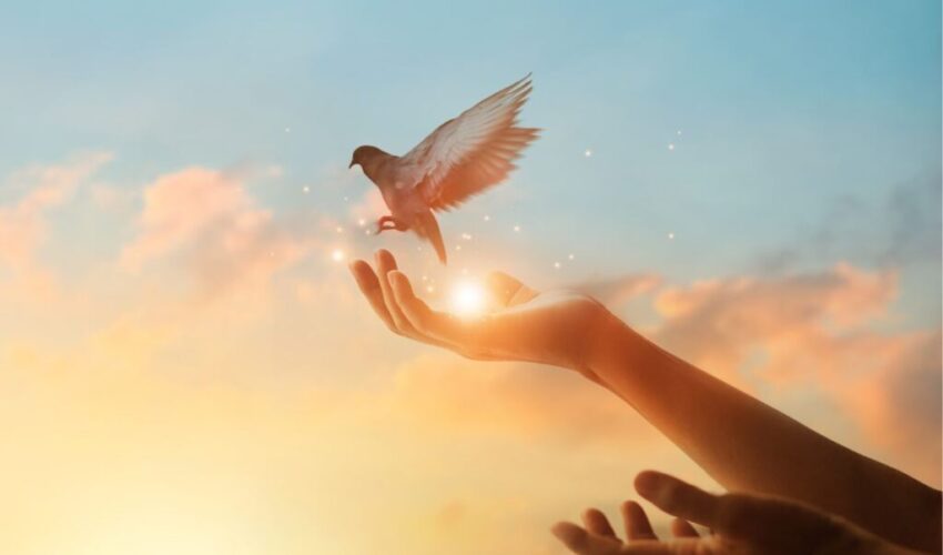 A dove is flying away from a person's hand symbolizing hope.