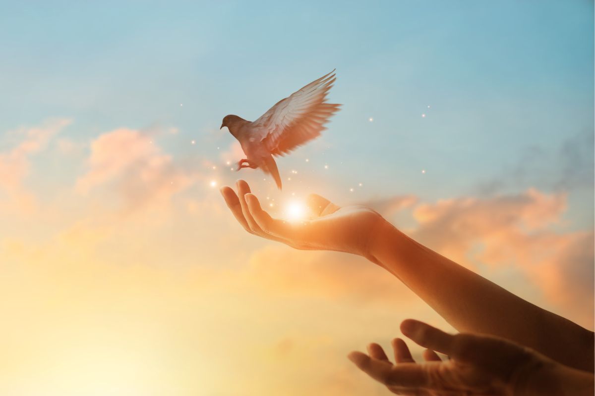 A dove is flying away from a person's hand symbolizing hope.