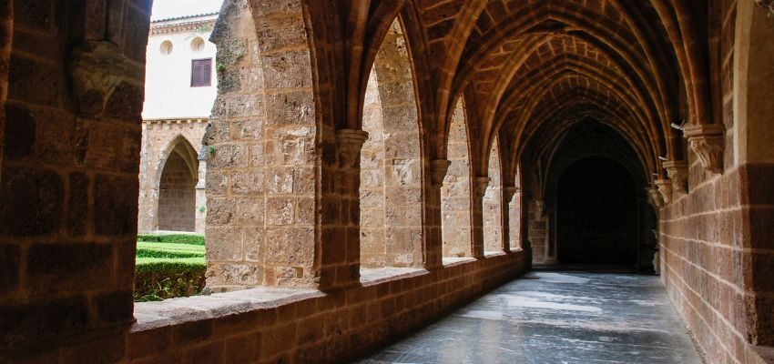 Monks and nuns share a collective purpose, living together in a close-knit community dedicated to their spiritual journey.