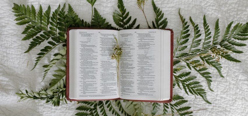 Reflections The Scriptures 12 Gospel Verses For Reflection To Uplift Your Spirit
