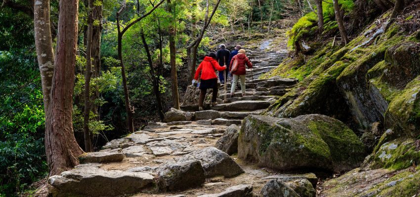 A serene day trips allow seniors to connect with God's creation, reflect, and find spiritual renewal in nature's beauty.