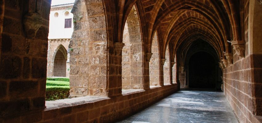 The Lay Cistercian way of life is more than a spiritual vocation. It’s a way to rediscover peace and purpose within everyday life.