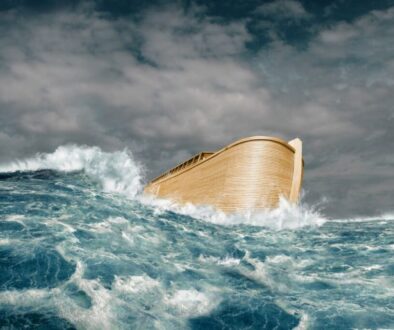 Noah's ark floating on the water.