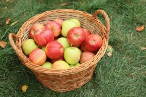 A basket of apples, symbolizing good deeds.