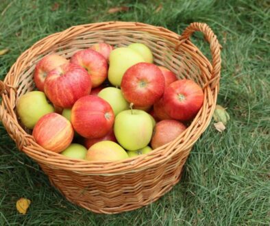 A basket of apples, symbolizing good deeds.