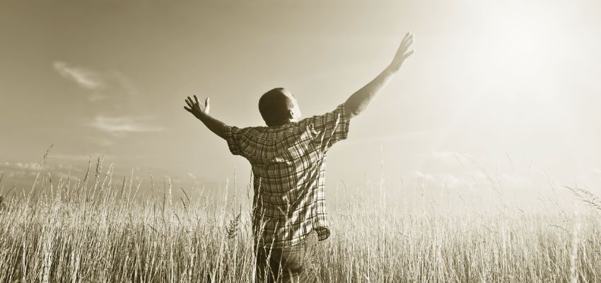 Man standing in golden wheat field with arms raised in praise, back view under warm sunrise sky, wearing plaid shirt, symbolizing gratitude, surrender, and stewardship of the earth as depicted in bible verses on stewardship.