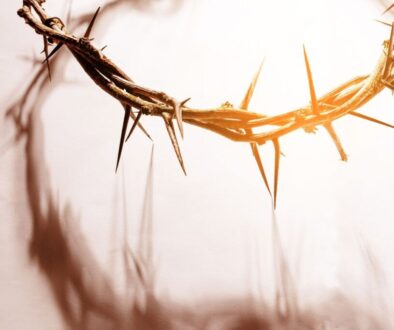 A crown of thorns, like the one Jesus wore.