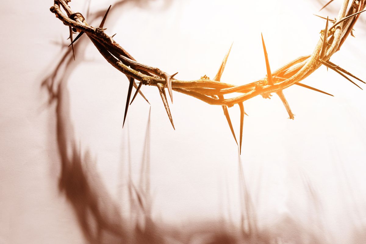 A crown of thorns, like the one Jesus wore.