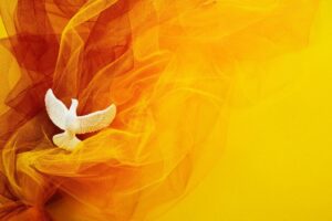 The Holy Spirit in the form of a dove.