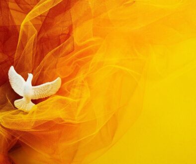 The Holy Spirit in the form of a dove.