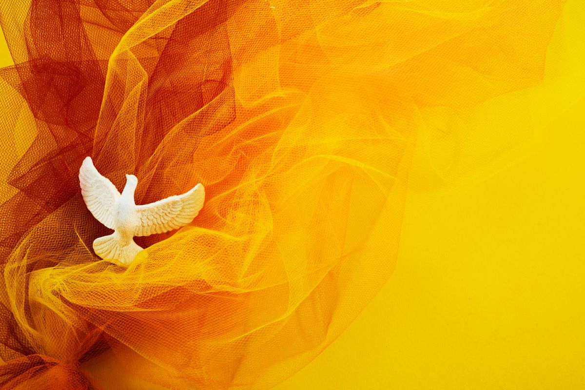 The Holy Spirit in the form of a dove.