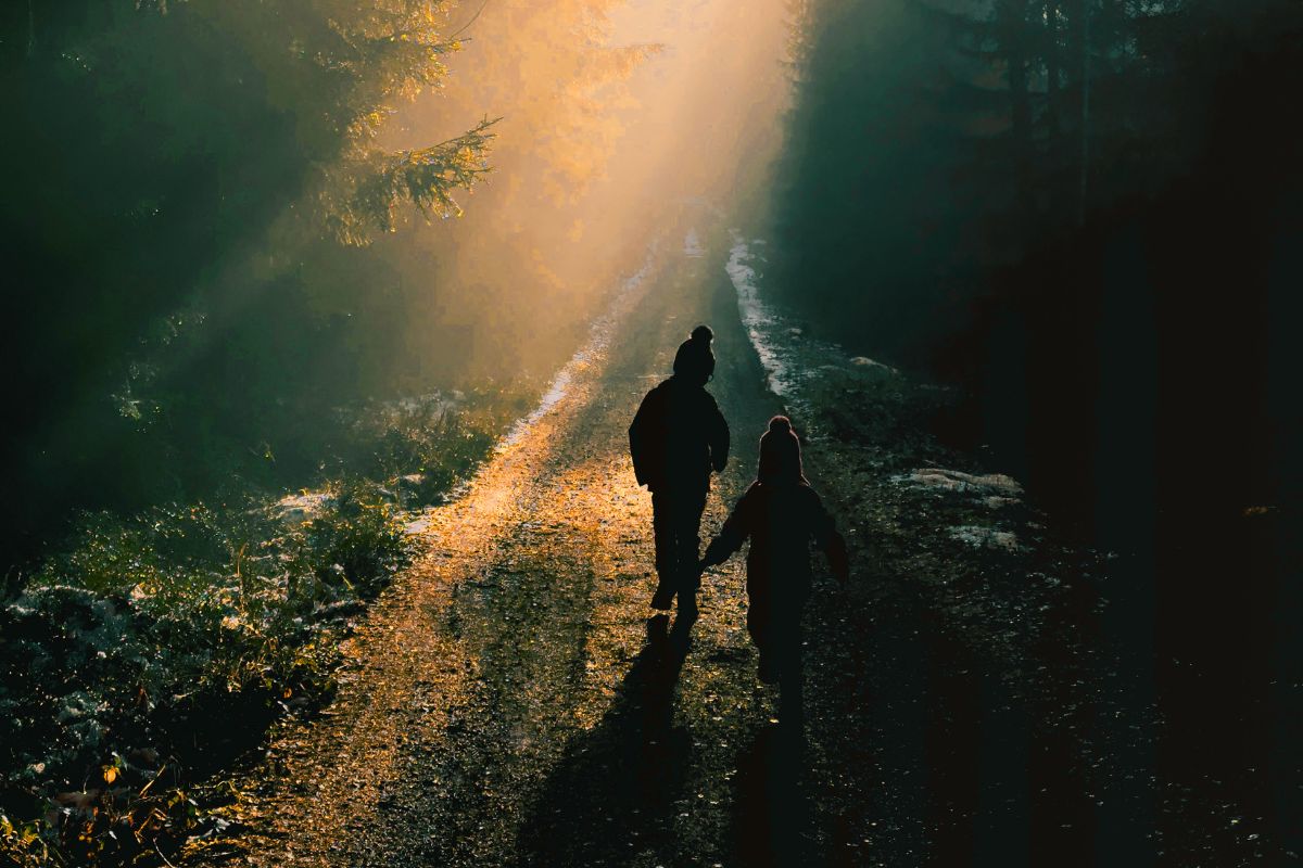 Children walk on a path through the forest.